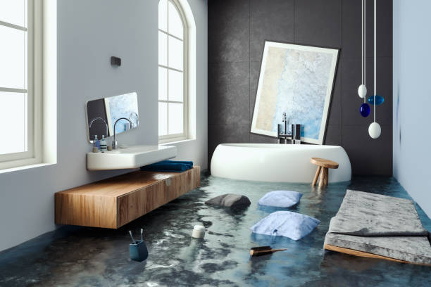 Best Water damage cleanup near me  in Portsmouth, NH