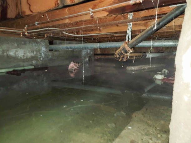 Professional Water damage restoration in NH