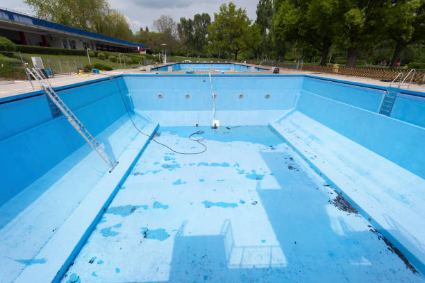 Best Mold removal after water damage  in Portsmouth, NH