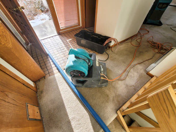 Reliable NH Water damage restoration Solutions
