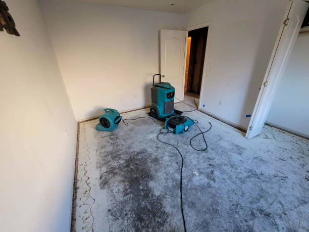 Best Water damage restoration near me  in Portsmouth, NH