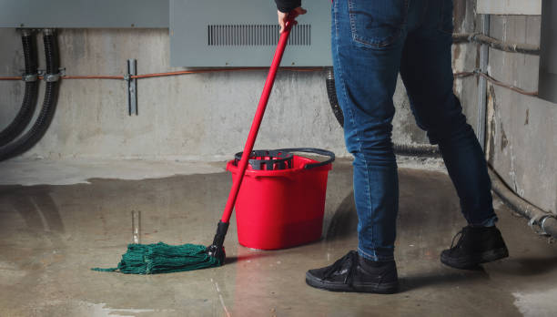 Best Water damage restoration specialists  in Portsmouth, NH