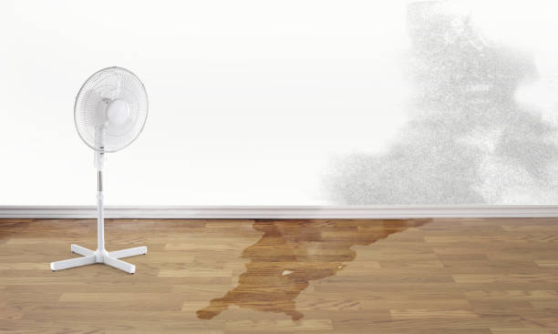 Best 24/7 water damage repair  in Portsmouth, NH