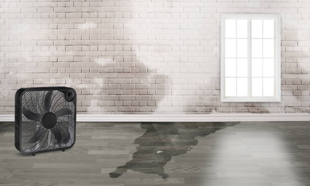Best Residential water damage restoration  in Portsmouth, NH