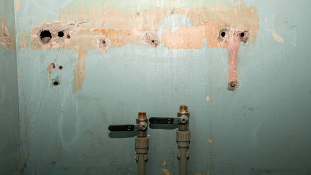 Best Flood restoration services  in Portsmouth, NH