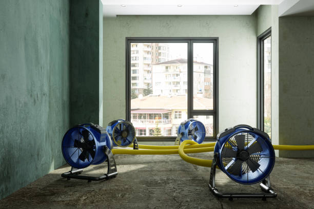 Best 24/7 water damage repair  in Portsmouth, NH